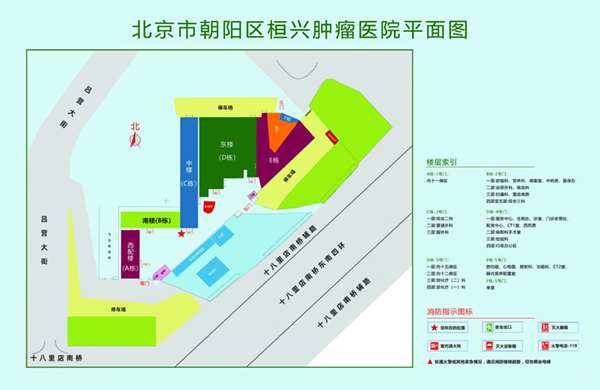 啊不要啊亚洲北京市朝阳区桓兴肿瘤医院平面图